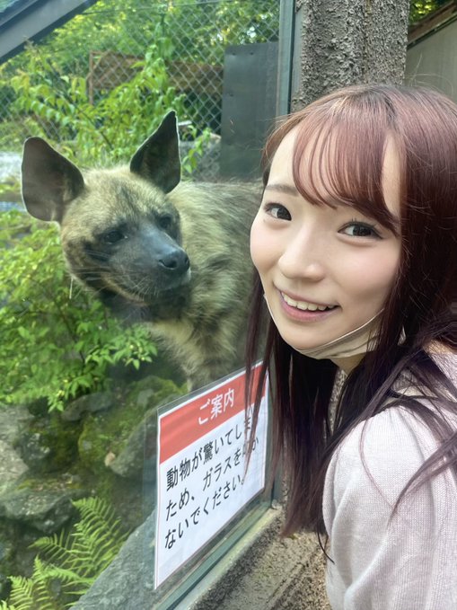 雅子里菜(雅子りな)出道作品番号及封面,雅子里菜个人简介-图片14