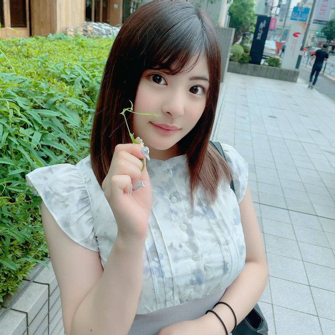 似鸟日菜(似鳥日菜)出道作品番号及封面,似鸟日菜个人简介-图片15