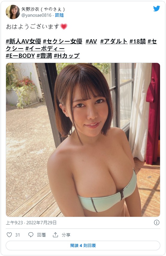 矢野沙衣出道作品番号及封面，矢野沙衣个人简介-图片7