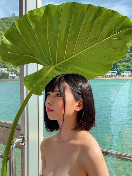 日野莉子(日野りこ)出道作品及封面,日野莉子个人资料-乐忧记