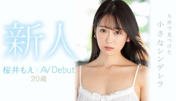 桜井もえ(樱井萌)出道作品MIDV-066介绍及封面预览-乐忧记