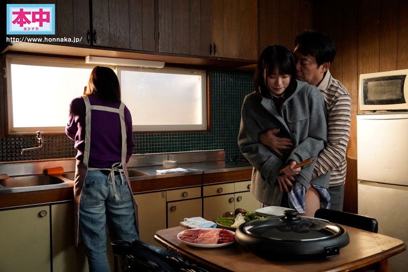 東條なつ(东条夏,Tojo-Natsu)作品HMN-416介绍及封面预览-图片3