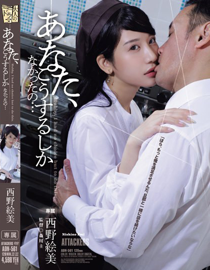 西野絵美(西野绘美,Nishino-Emi)作品ADN-561介绍及封面预览-乐忧记