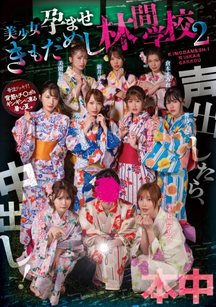 十位女星共演作品HNDS-078介绍及封面预览-乐忧记