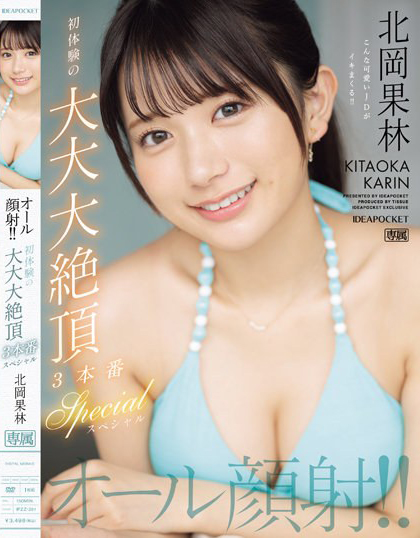 北岡果林(北冈果林，Kitaoka-Karin)作品IPZZ-291介绍及封面预览-乐忧记