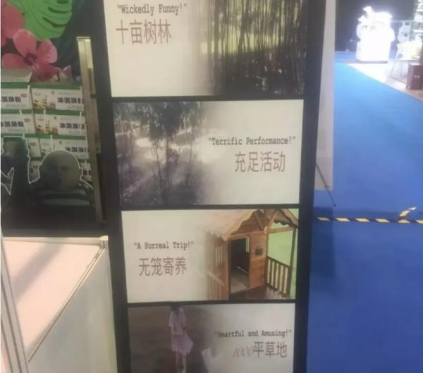 轻创业项目,宠物行业冷门市场–宠物寄养-乐忧记