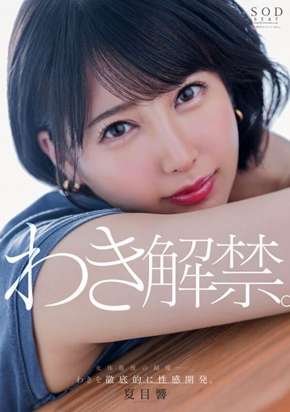 夏目響(夏目响,Natsume-Hibiki)作品START-236介绍及封面预览-乐忧记