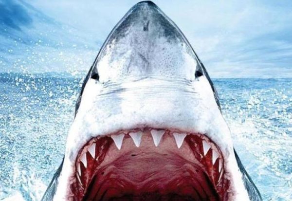 恐怖惊悚灾难电影推荐《大白鲨》,深海恐惧与生存意志的终极较量-乐忧记