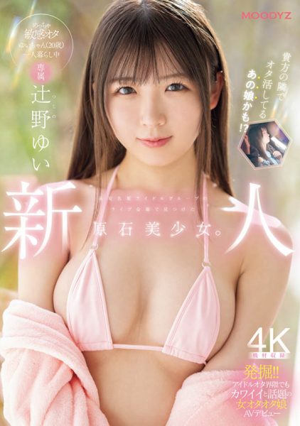 辻野ゆい(辻野唯)最新作品MIDA-228介绍及封面预览-乐忧记