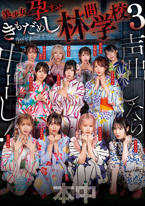 「超级鬼屋惊魂」共演作品HNDS-182介绍及封面预览-乐忧记