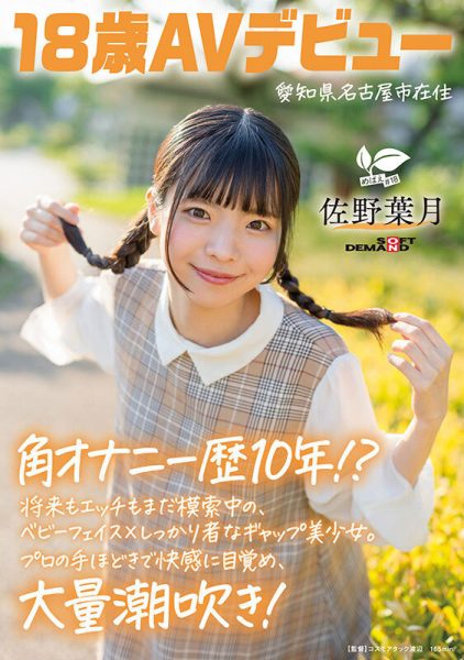 「佐野叶月」最新作品SDAB-339介绍及封面预览-乐忧记