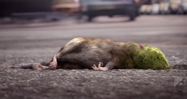 科幻短片《吞噬》科技、环境、责任和人类未来的故事-乐忧记